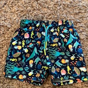 Boys cat & jack swim trunks size 2t